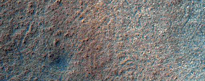 Elongated Plateau in Southern High Latitude Region