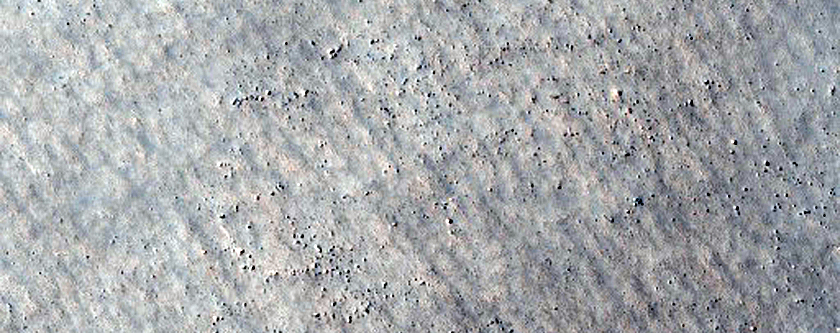Ejecta and Patterned Ground on Southern Rim of Darwin Crater