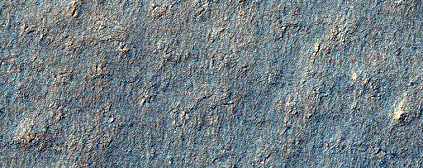 Sample Surface Texture