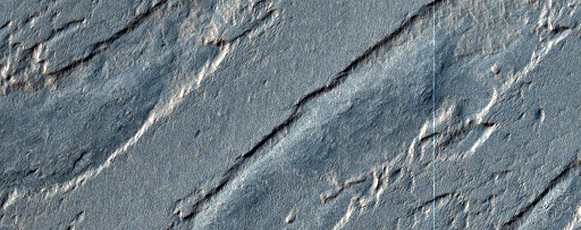 South Polar Remnants