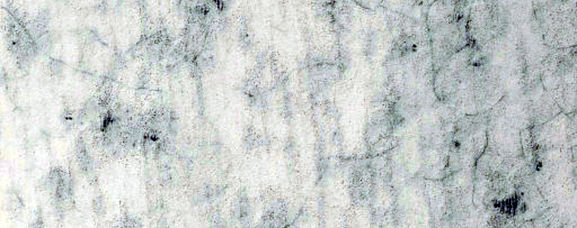 Interesting Area Seen in THEMIS Image V09798009