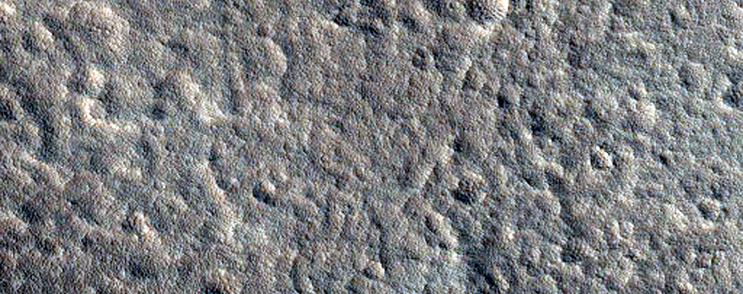 Scanning Global Dust Event Over Olympus Mons
