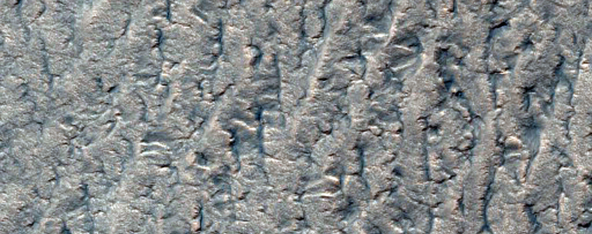 Search for Mars Polar Lander