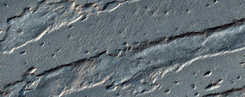 South Polar Remnants