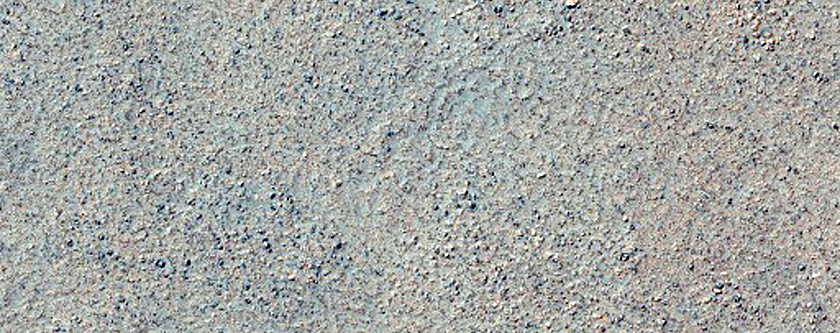 Surface Rocks and Blocks