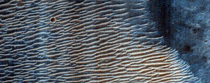 Looking for Gullies
