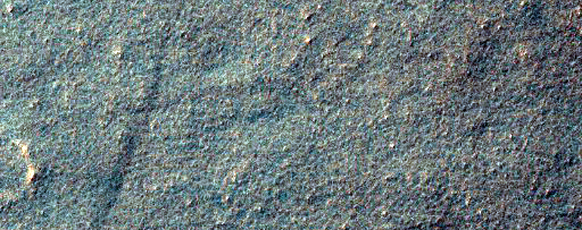 Sample Surface Texture
