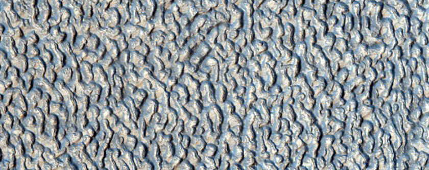 Sample Unusual Wormy Patterned Ground