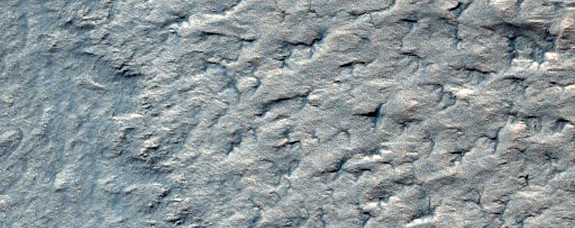 Search for Mars Polar Lander