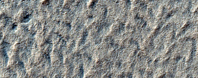 Layers of the South Polar Layered Deposits