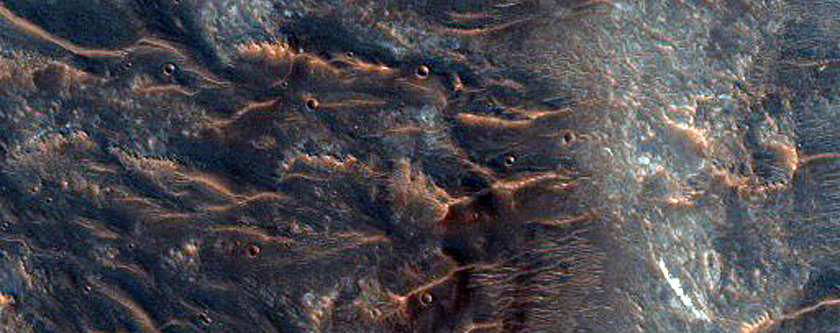 High Thermal-Inertia Terrace Blocks in Holden Crater