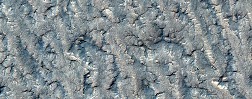 South Polar Layered Deposits Near Mars Polar Lander Site