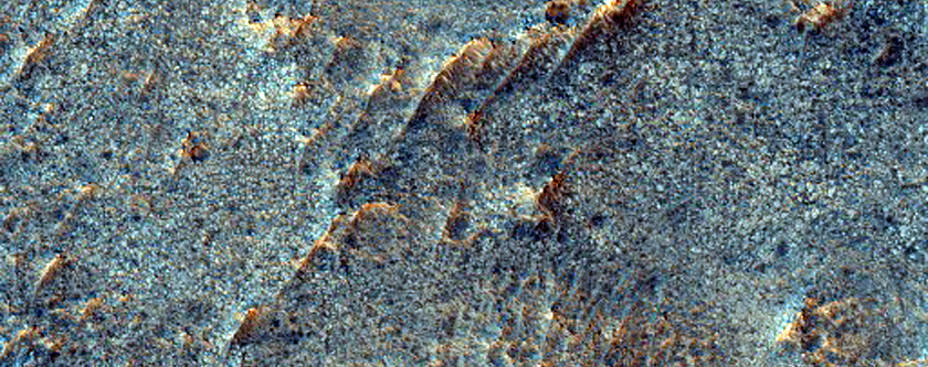 Shallowed Crater on Plains in the Melas Dorsa Region