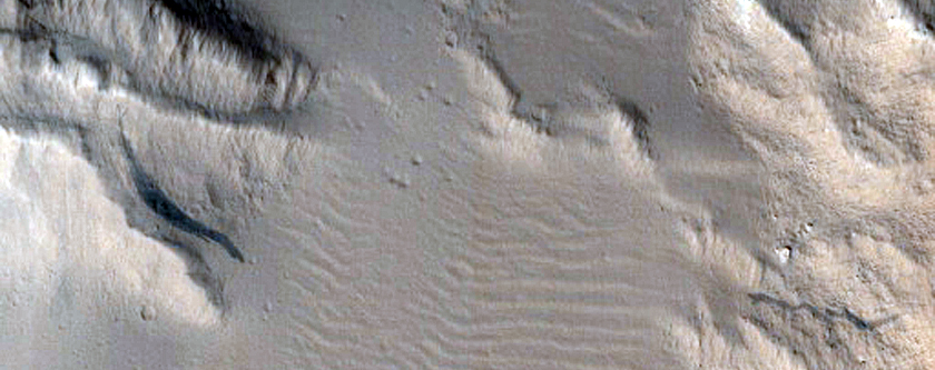 Knobby Terrain East of Olympus Mons