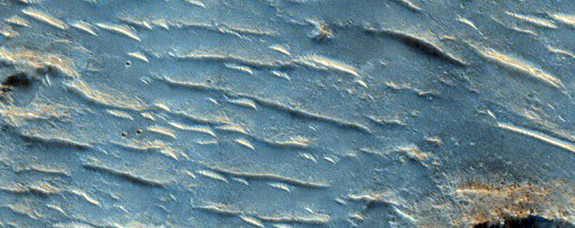 Hydrated Crater in Terra Tyrrhena