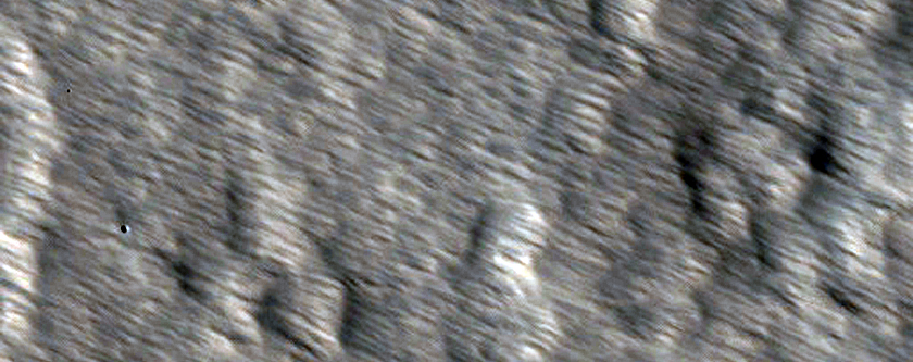 Pavonis Mons Albedo Monitoring