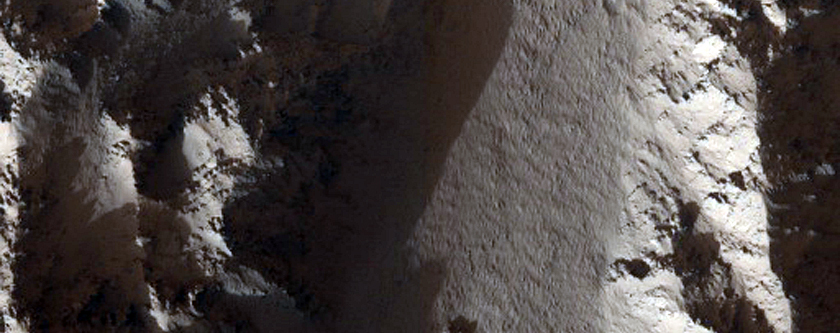 Deformed Base of Olympus Mons
