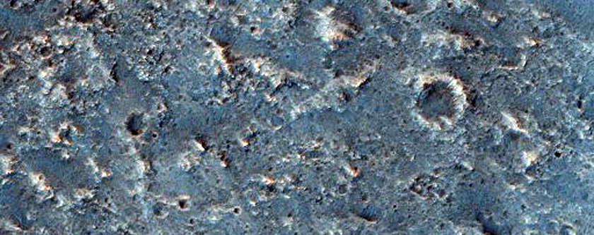 Olivine in Crater Floors and Ejecta in Terra Tyrrhena