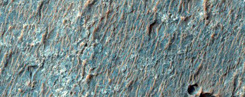 Floor of Magelhaens Crater