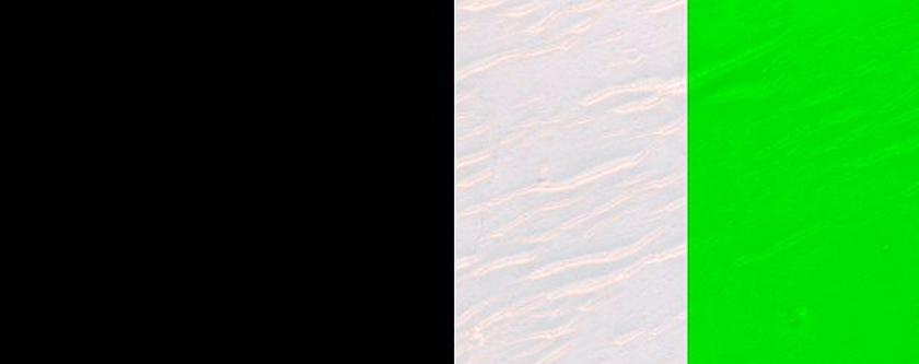 Wallrock and Plains Contact South of Ius Chasma
