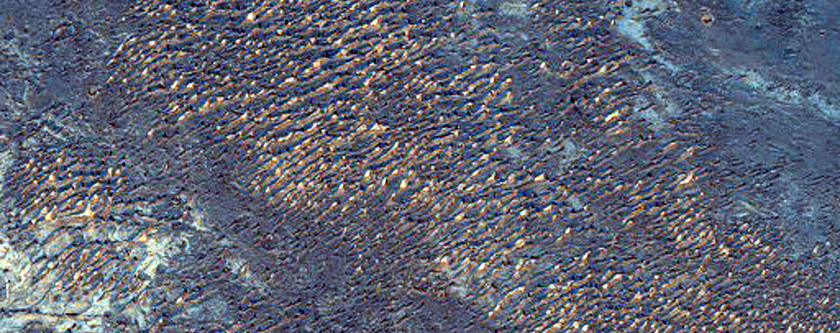 Light-Toned Layering in Plains South of Melas Chasma