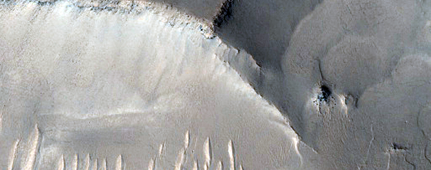 Ridges in Transition between Syrtis and Arabia Regions