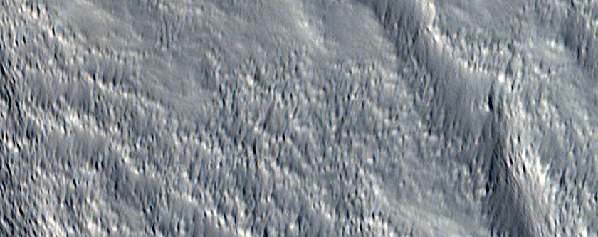Swarms of Discontinous Ridges or Elongated Mounds on Valley Floor