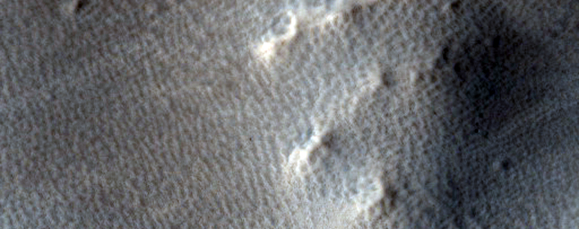 Aganippe Fossa Surface Texture Sample
