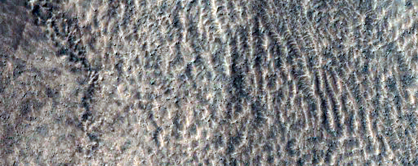 Gullies on Northwestern Wall of Crater in Noachis Terra