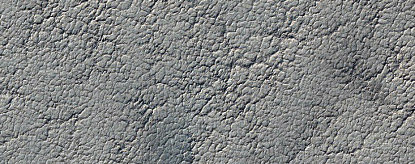 Dendritic Surface Texture of South Polar Layered Deposits Surface