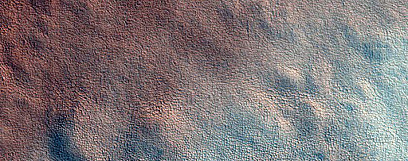 Patterned Ground in Arcadia Planitia