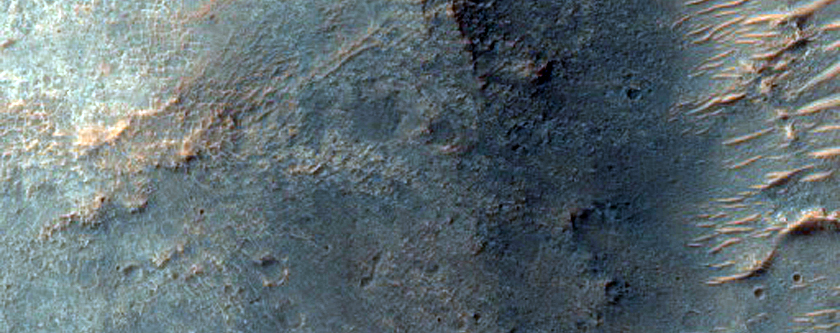 Cluster of Small Cones on Ridged Plains