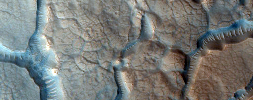 Fretted Terrain in the Deuteronilus Mensae Region
