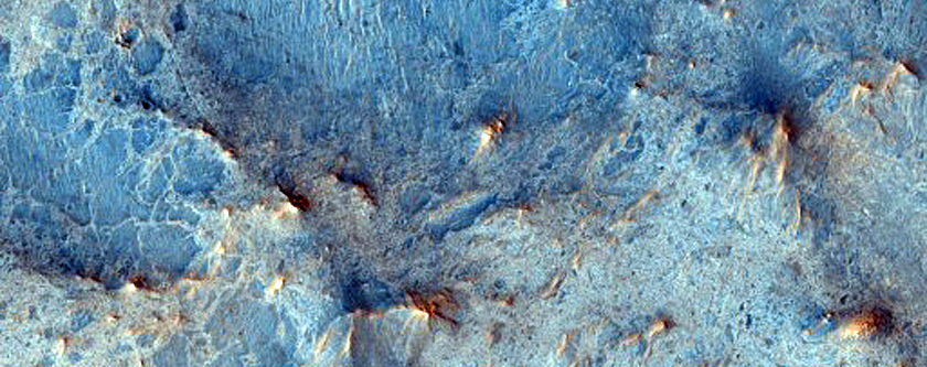 Proposed MSL Site in Nili Fossae Trough