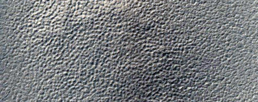 High-Latitude Gullies