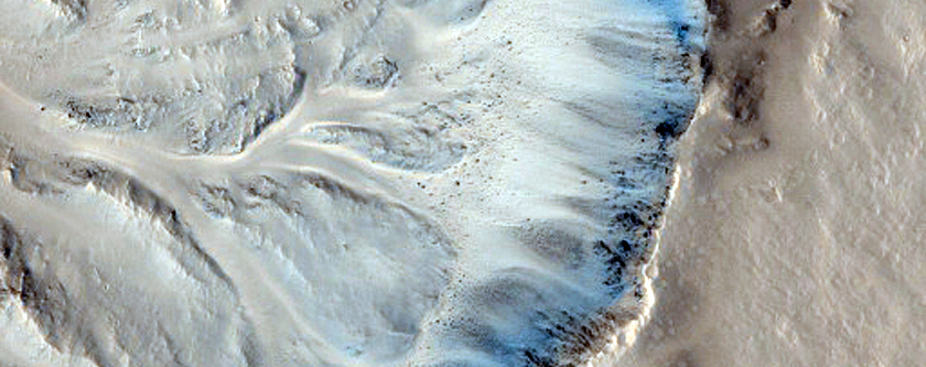 Unnamed Well-Preserved Crater within the Isidis Basin