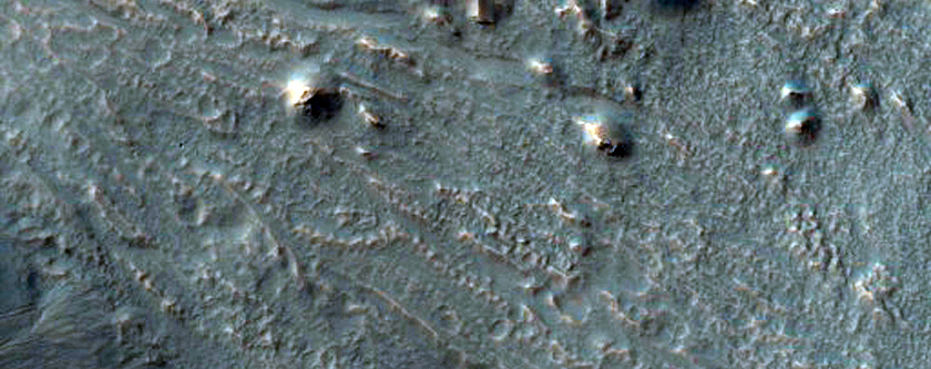 Eastern Side of Hale Crater Ridge with Gullies on Both Sides