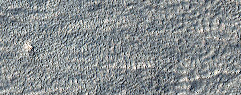 Surface Morphology of Rock Glacier-Like Landform around Euripus Mons