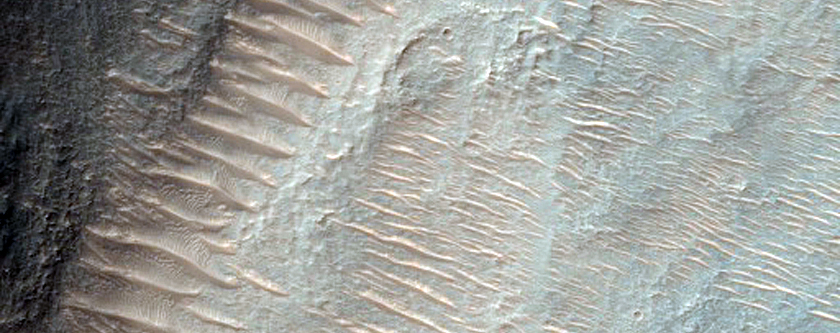 Hale Crater Ejecta Fluvial Modification