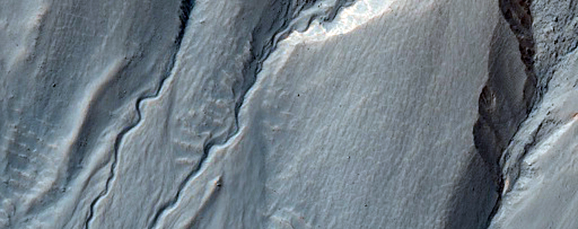 Gullies with Meandering Channels and Channels That Widen Downslope