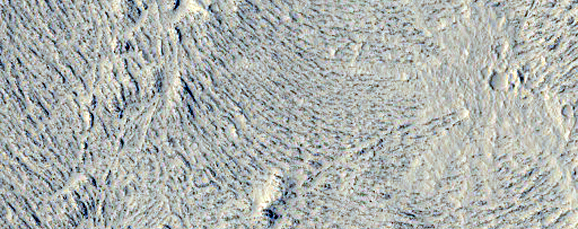 Channel Segment Amid Platy-Ridged Flows in Central Elysium Planitia