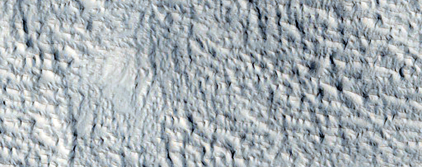 Margin of Pavonis Sulci