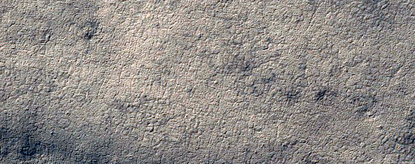 Branching Ridges in the Dorsa Argentea