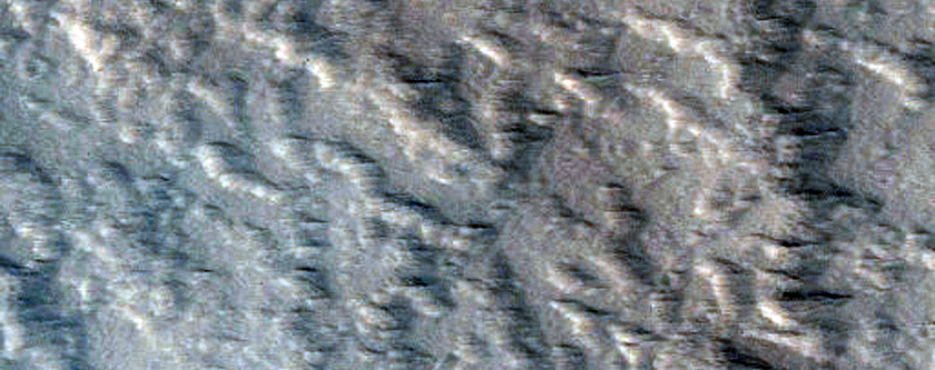 Lava Flows of Olympus Mons
