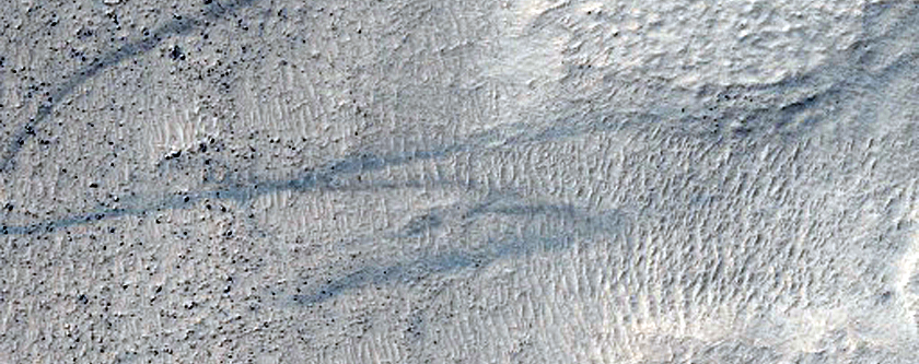 Complex Enigmatic Landforms of Hellas Basin Foor