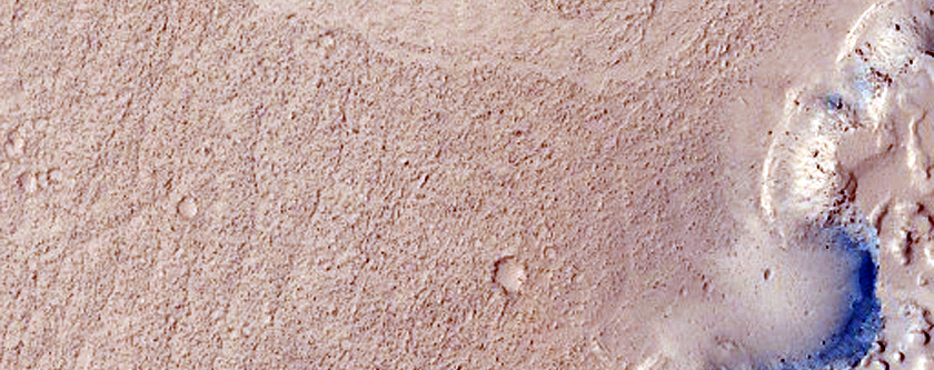 Shoreline Erosion and Lava in South Elysium Planitia