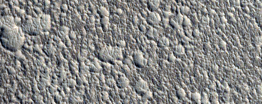 Abrupt Thermal and Albedo Boundary in Eastern Arcadia Region