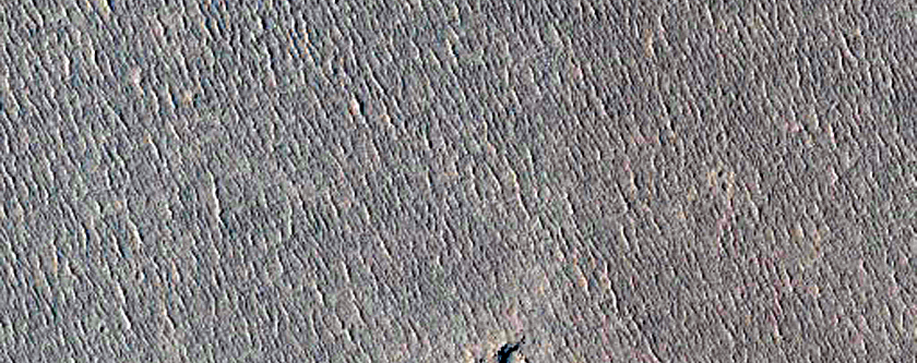 Abrupt Morphologic Transitions in Elysium Planitia