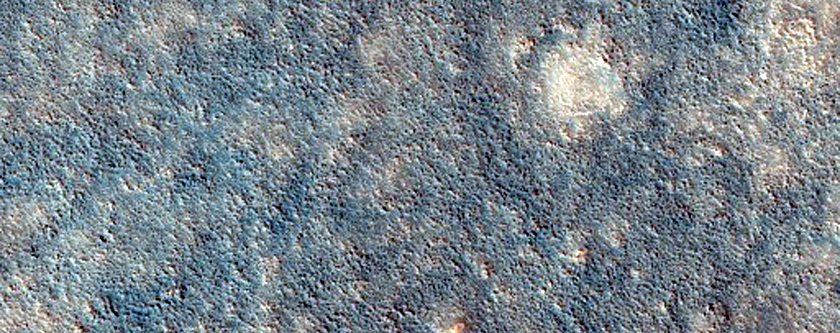 Large-Scale Polygonal Fissures