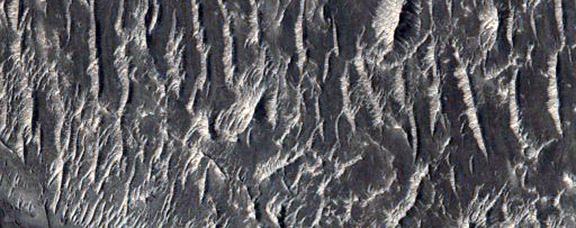 Crater Near Phison Rupes